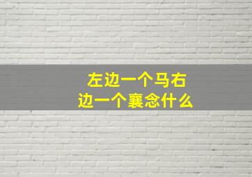 左边一个马右边一个襄念什么