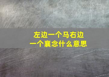 左边一个马右边一个襄念什么意思