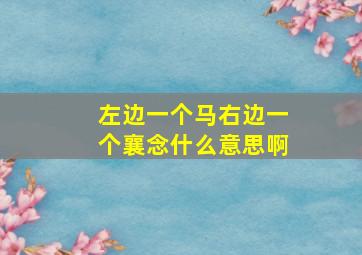 左边一个马右边一个襄念什么意思啊