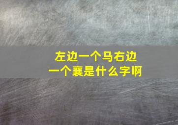 左边一个马右边一个襄是什么字啊