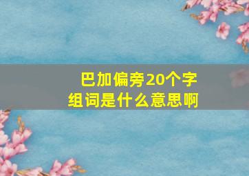 巴加偏旁20个字组词是什么意思啊