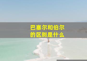 巴塞尔和伯尔的区别是什么