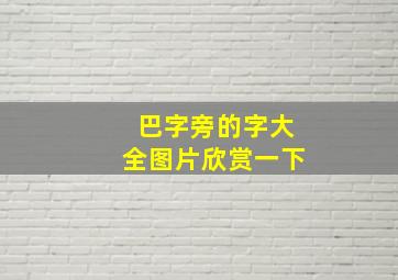 巴字旁的字大全图片欣赏一下