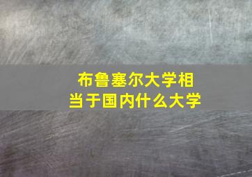 布鲁塞尔大学相当于国内什么大学