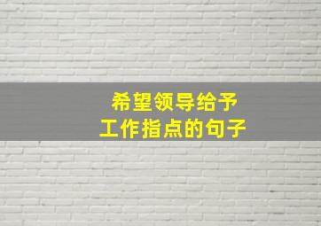 希望领导给予工作指点的句子