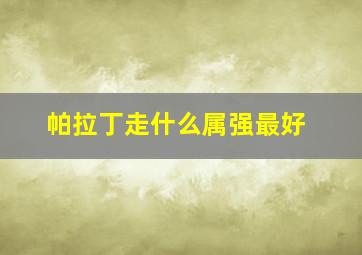 帕拉丁走什么属强最好