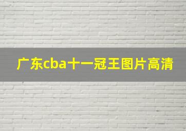 广东cba十一冠王图片高清