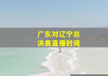 广东对辽宁总决赛直播时间