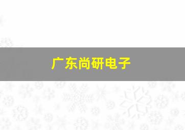 广东尚研电子