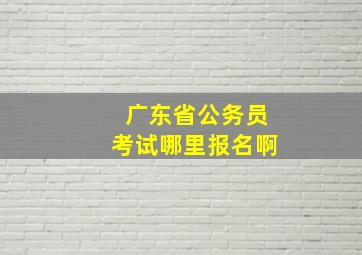 广东省公务员考试哪里报名啊