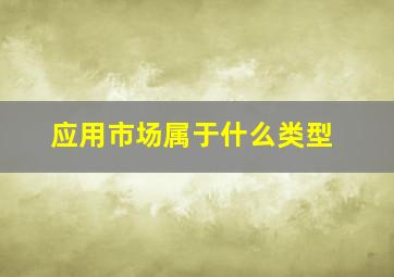 应用市场属于什么类型