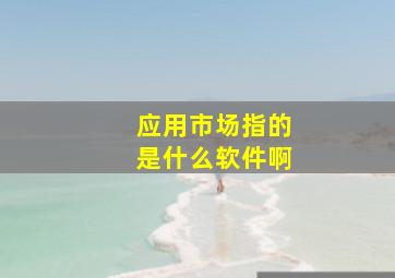 应用市场指的是什么软件啊