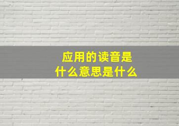 应用的读音是什么意思是什么