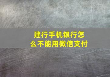 建行手机银行怎么不能用微信支付