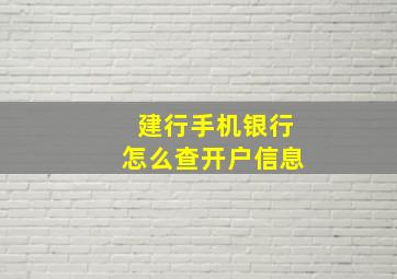 建行手机银行怎么查开户信息