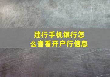 建行手机银行怎么查看开户行信息