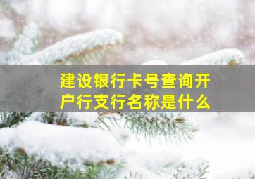 建设银行卡号查询开户行支行名称是什么