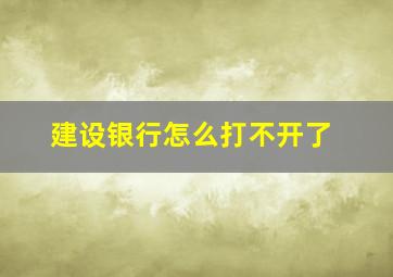 建设银行怎么打不开了