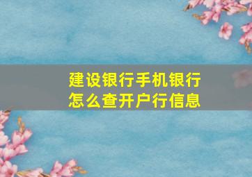 建设银行手机银行怎么查开户行信息