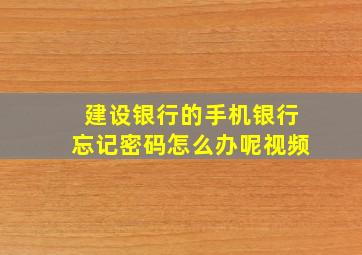 建设银行的手机银行忘记密码怎么办呢视频