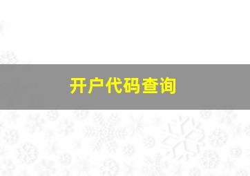 开户代码查询