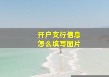 开户支行信息怎么填写图片