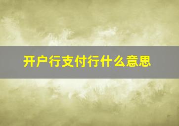 开户行支付行什么意思