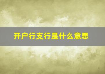 开户行支行是什么意思