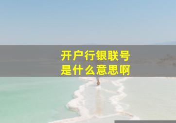 开户行银联号是什么意思啊