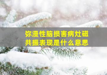 弥漫性脑损害病灶磁共振表现是什么意思