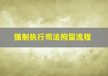 强制执行司法拘留流程