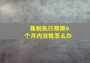 强制执行期限6个月内没钱怎么办