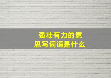 强壮有力的意思写词语是什么