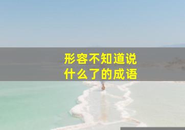 形容不知道说什么了的成语