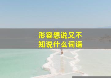 形容想说又不知说什么词语