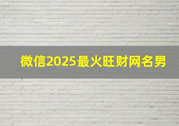 微信2025最火旺财网名男