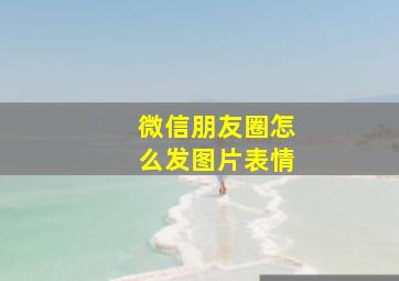 微信朋友圈怎么发图片表情