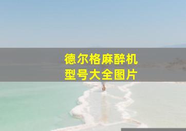 德尔格麻醉机型号大全图片