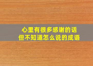 心里有很多感谢的话但不知道怎么说的成语