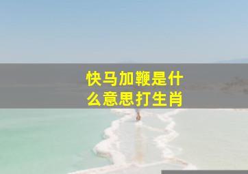 快马加鞭是什么意思打生肖