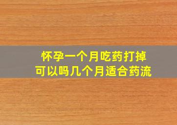 怀孕一个月吃药打掉可以吗几个月适合药流