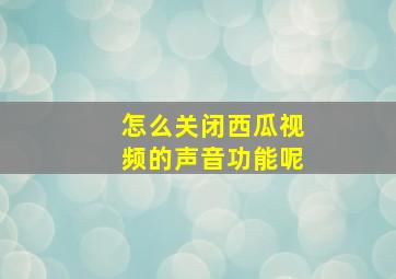 怎么关闭西瓜视频的声音功能呢