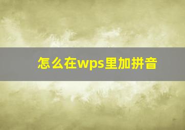 怎么在wps里加拼音