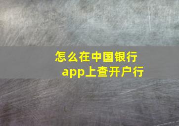 怎么在中国银行app上查开户行