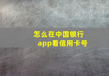 怎么在中国银行app看信用卡号