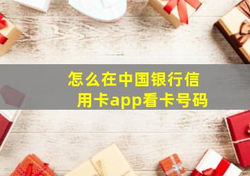 怎么在中国银行信用卡app看卡号码