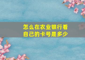 怎么在农业银行看自己的卡号是多少