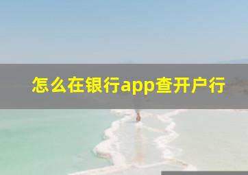 怎么在银行app查开户行