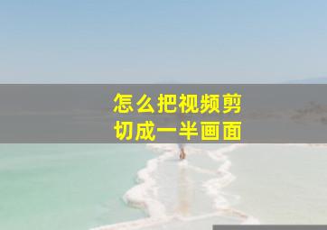 怎么把视频剪切成一半画面