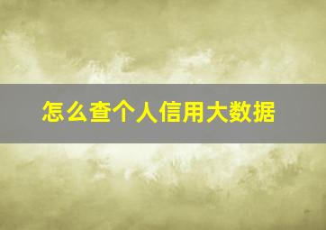 怎么查个人信用大数据